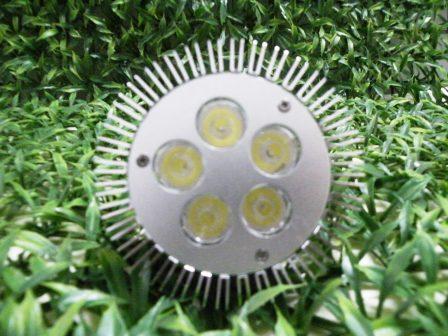 PAR20-5W